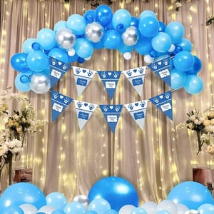 Naming Cermony Blue Decoration Combo (103 Pcs), Naming Ceremony Party Favors, Party Decoration Supplies (Balloons, Banner, Fairy Lights) With Decorative Service At Your Place.