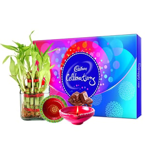 Cadbury Celebration Diya Two Layer Lucky Bamboo For Mother's Day Gift For Mom