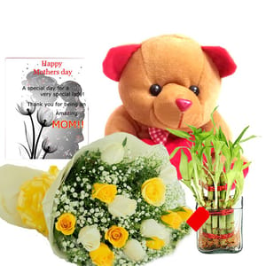 Roses Teddy Bear Lucky Bamboo and Father's Day card For  Father's Day Gift For  Father