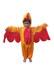 Theme Costume for the party for kids Teens and adults