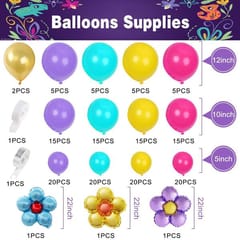 Encanto theme Party Birthday Balloons decoration Combo Kits for Kids Birthday party With Decoration service at your place