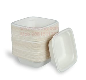 100%Bio-degradable Disposable Bowl for Party and Religious Function(Square 4")