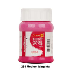 ARTISTS ACRYLIC COLOUR 500 ML