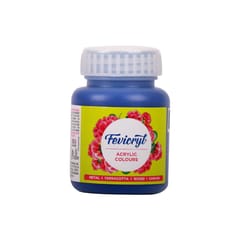 Fevicryl Acrylic Colours 100 ml