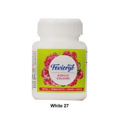 Fevicryl Acrylic Colours 100 ml