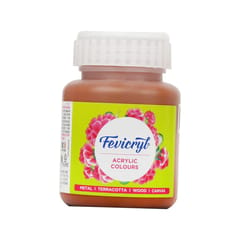 Fevicryl Acrylic Colours 100 ml