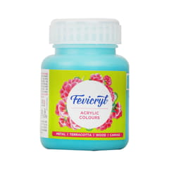 Fevicryl Acrylic Colours 100 ml