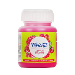 Fevicryl Acrylic Colours 100 ml