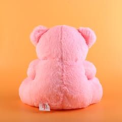 Sweetheart Pink Teddy Soft Toy 30cm  Home Decor , Soft Toy For Kids , Birthday, Anniversary.