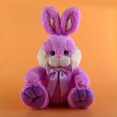 Sitting Bunny Purple Soft Toy 30cm  Home Decor , Soft Toy For Kids , Birthday, Anniversary.