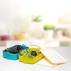 Tupperware Plastic Click to Go Lunch Carrier 900ml 2pc (Multicolour) , Lunch Box