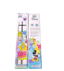 Aquaslim-550 ml -Steel Water Bottle Disnep Princess with Free Flip Cap