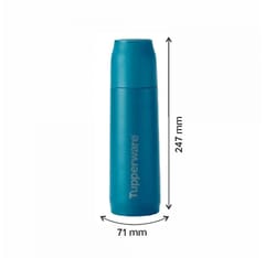 TUPPERWARE TUPP BUDDY 520 ML (1PC)-PEACOCK test , Drinkware, Insulated  Bottle , Hot or Cold Bottle