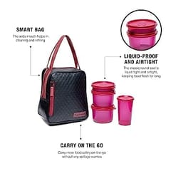 Plastic Elegant Lunch Set for Women (Pink) Lunch Box Set For Back To Office Women Gift For Mother, Sister ,Wife ,Friends