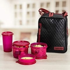 Plastic Elegant Lunch Set for Women (Pink) Lunch Box Set For Back To Office Women Gift For Mother, Sister ,Wife ,Friends