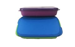 Tupperware Plastic My Lunch Container -2pc, 590ml Lunch Box For Back To School Kids ,Birthday Gift ,Set Of 2 Lunch Box