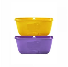 Tupperware SS Bowl 2Ltr, (Set Of 2), Home Appliances