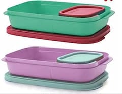 Tupperware Plastic Lunch Box 590 ml Pack of 2 with 4 Container (Multicolor) ,For Back To School Students