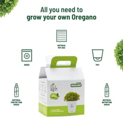 Oregano Kit By Pot & Bloom