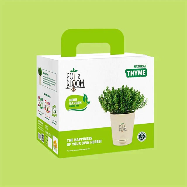 Thyme Kit By Pot & Bloom