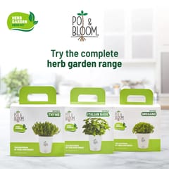 Thyme Kit By Pot & Bloom