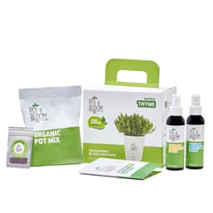 Thyme Kit By Pot & Bloom