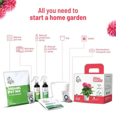 Dahlia Grow Kit By Pot & Bloom
