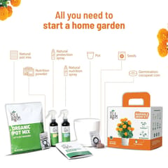 Marigold Grow Kit By Pot & Bloom