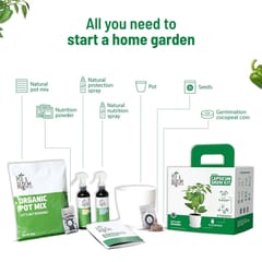 Capsicum Grow Kit By Pot & Bloom