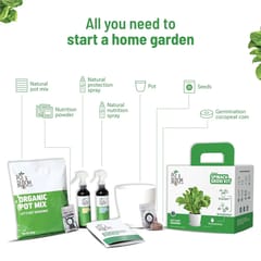 Spinach Grow Kit By Pot & Bloom