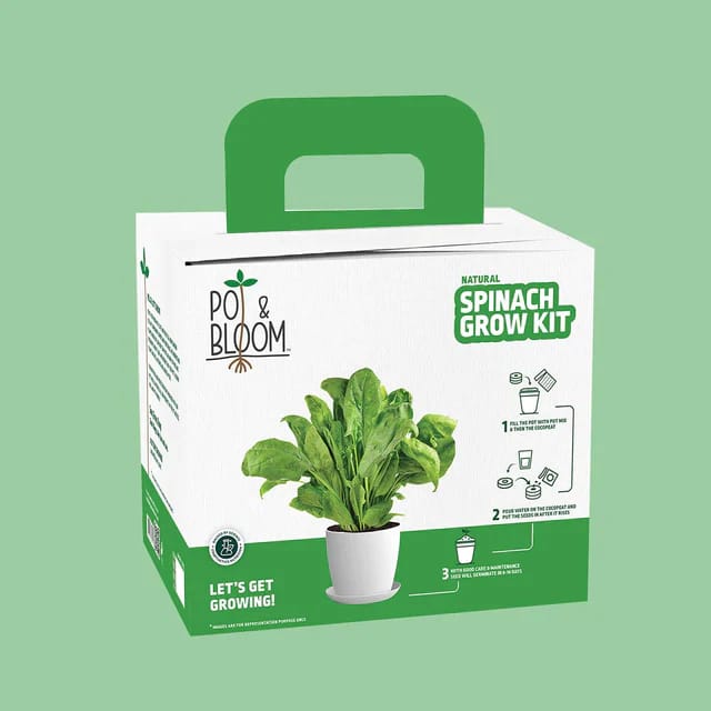 Spinach Grow Kit By Pot & Bloom