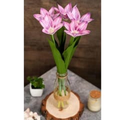 cThemeHouseParty 5 Pcs Lily Artificial Flowers Sticks For for Gifting,/Bouquet, Home, Garden, Office Corner, Bedroom, Balcony, Living Room, Restaurant Centerpieces, Diwali Decoration and Craft(Pack of 5 Sticks)