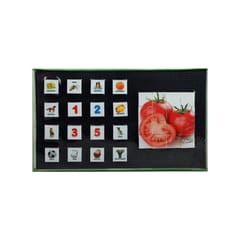 RATNA'S TOMATO PICTURE BLOCK