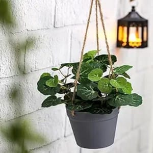 cThemeHouseParty 1 Pc Artificial Hanging Succulent Plant with Aesthetic Ceramic Cement Pot,Indoor,Office,and Kitchen-Wall Hanging and Tabletop Decoration Items