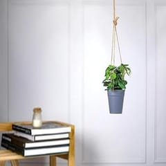 cThemeHouseParty 1 Pc Artificial Hanging Succulent Plant with Aesthetic Ceramic Cement Pot,Indoor,Office,and Kitchen-Wall Hanging and Tabletop Decoration Items