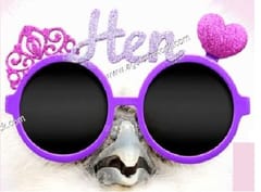 Hen Party Glasses ,Hen Sunglasses ,Googles Fancy Dress, Hen Night Party, Party Accessories ( Colour As Per Available )