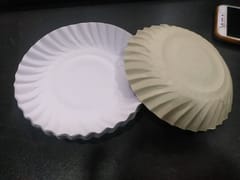 White Paper Plate , Disposable White Round Paper Plate ,7.5 inch ,(25 TO 30 pcs)