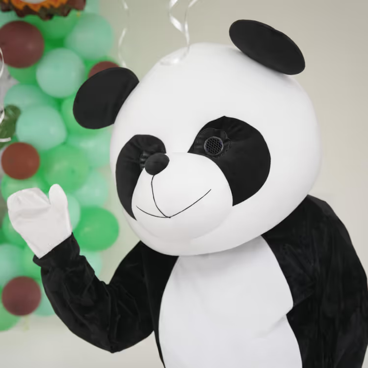 Live Cartoon Mascots For Kids Birthday Party
